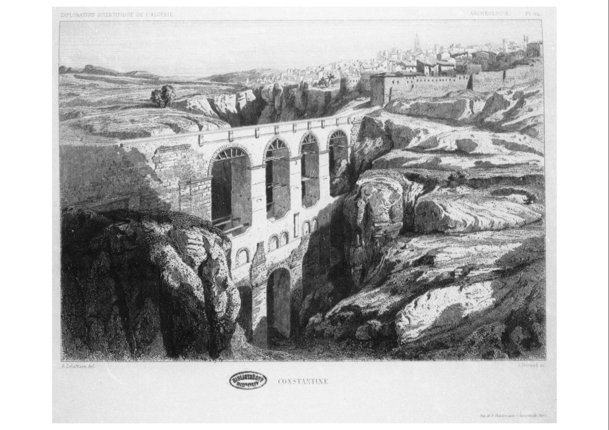 enohlate 🇩🇿 / Telkati tweet media