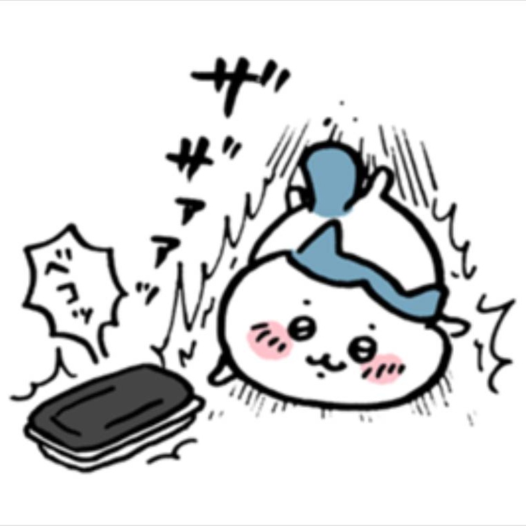 シーズーのズシ tweet media