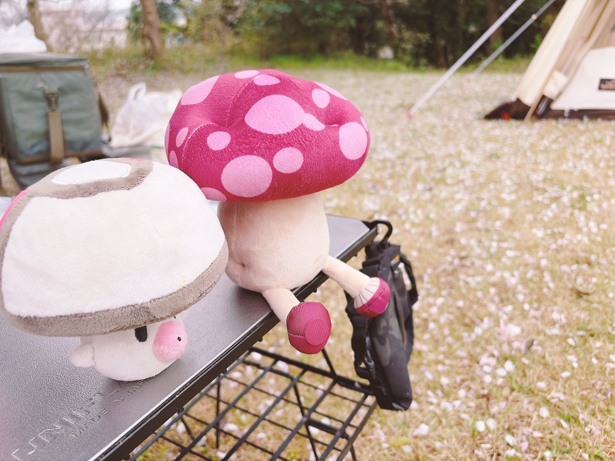 ろにゃもん@765 tweet media