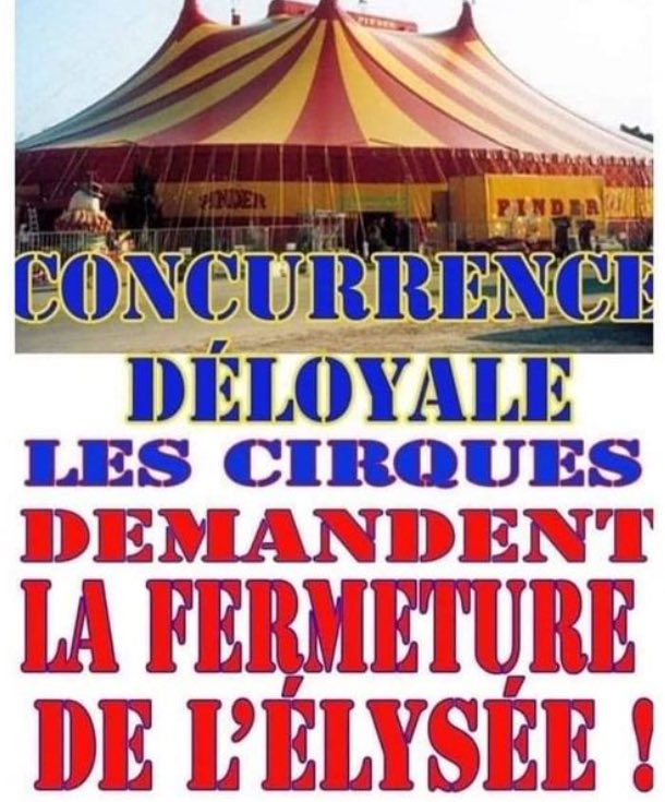 Patrick Jardin tweet media