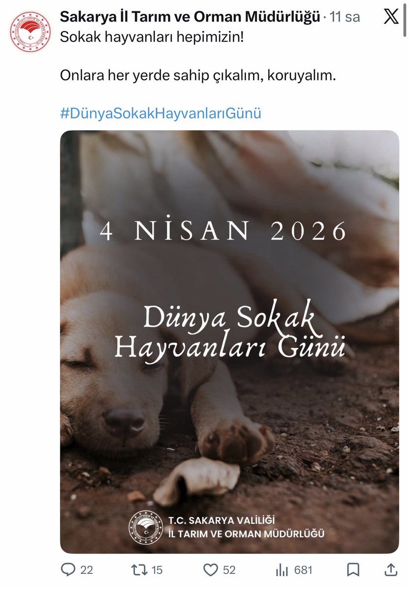 Devrim KOÇAK tweet media