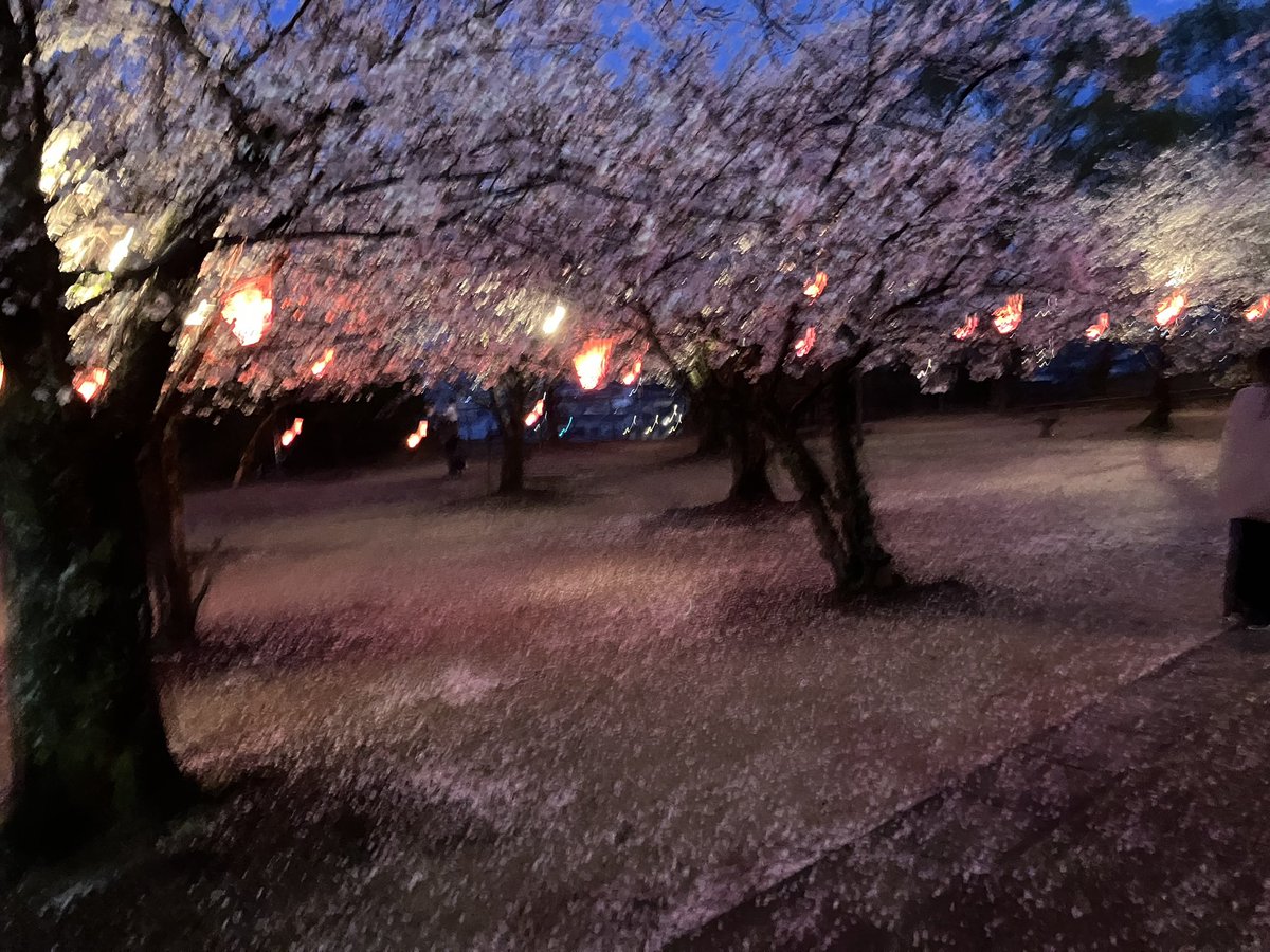 みゃんごU^ェ^U tweet media