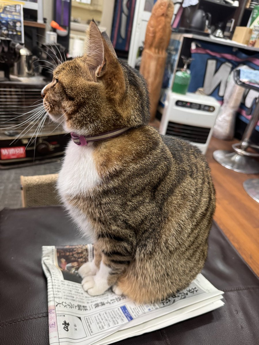 CarMedical Complete tweet media