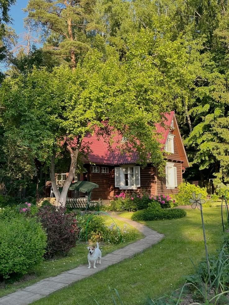 𝑝𝑢𝑟𝑒 tweet media