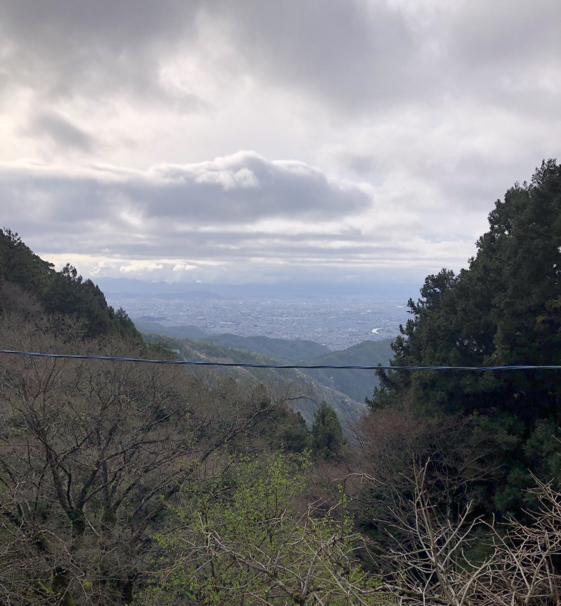 月輪寺【公式】 tweet media