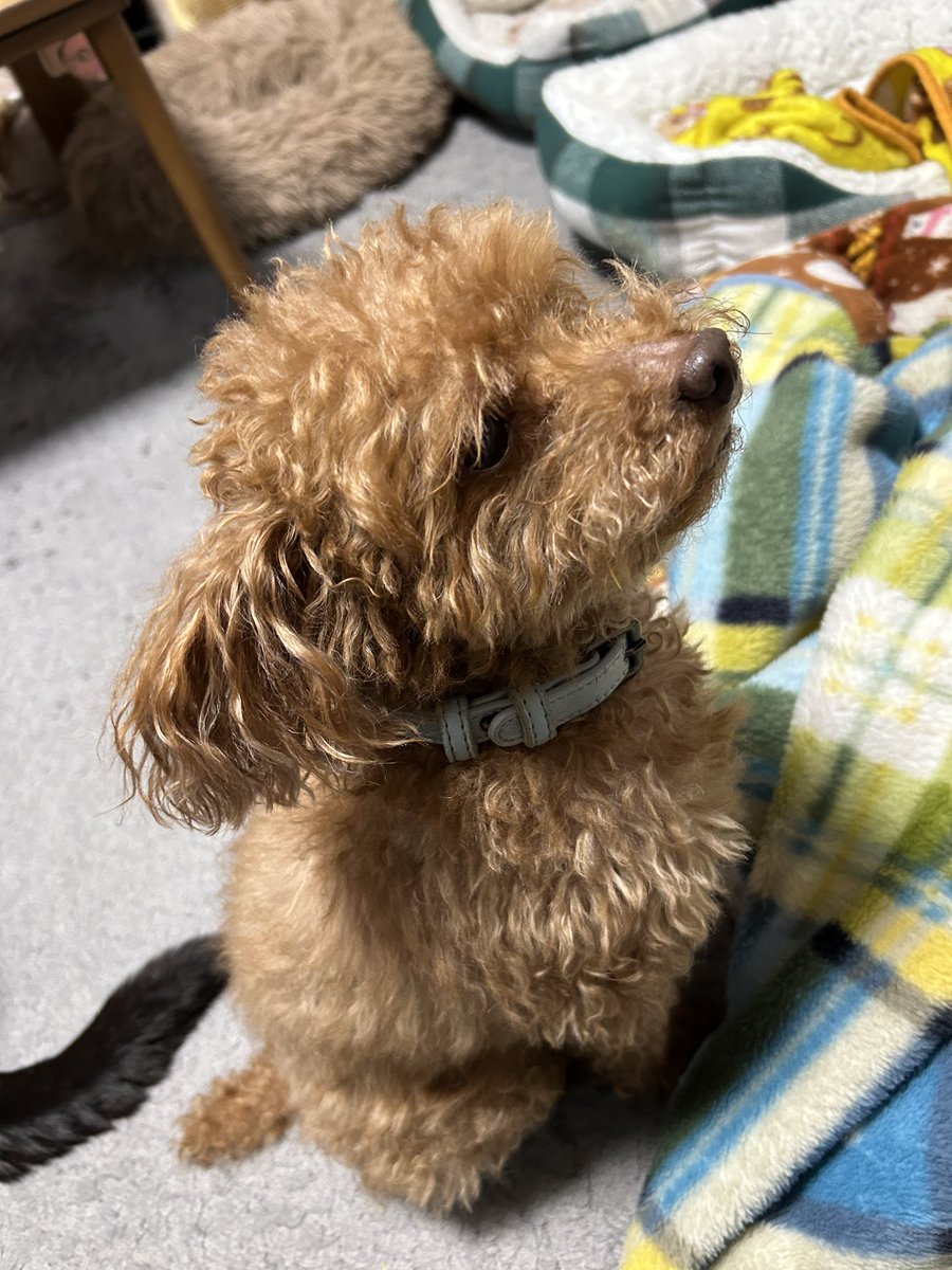 こうじ tweet media