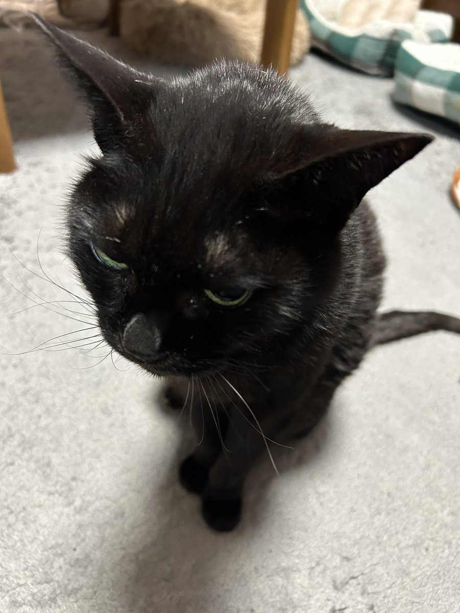 こうじ tweet media