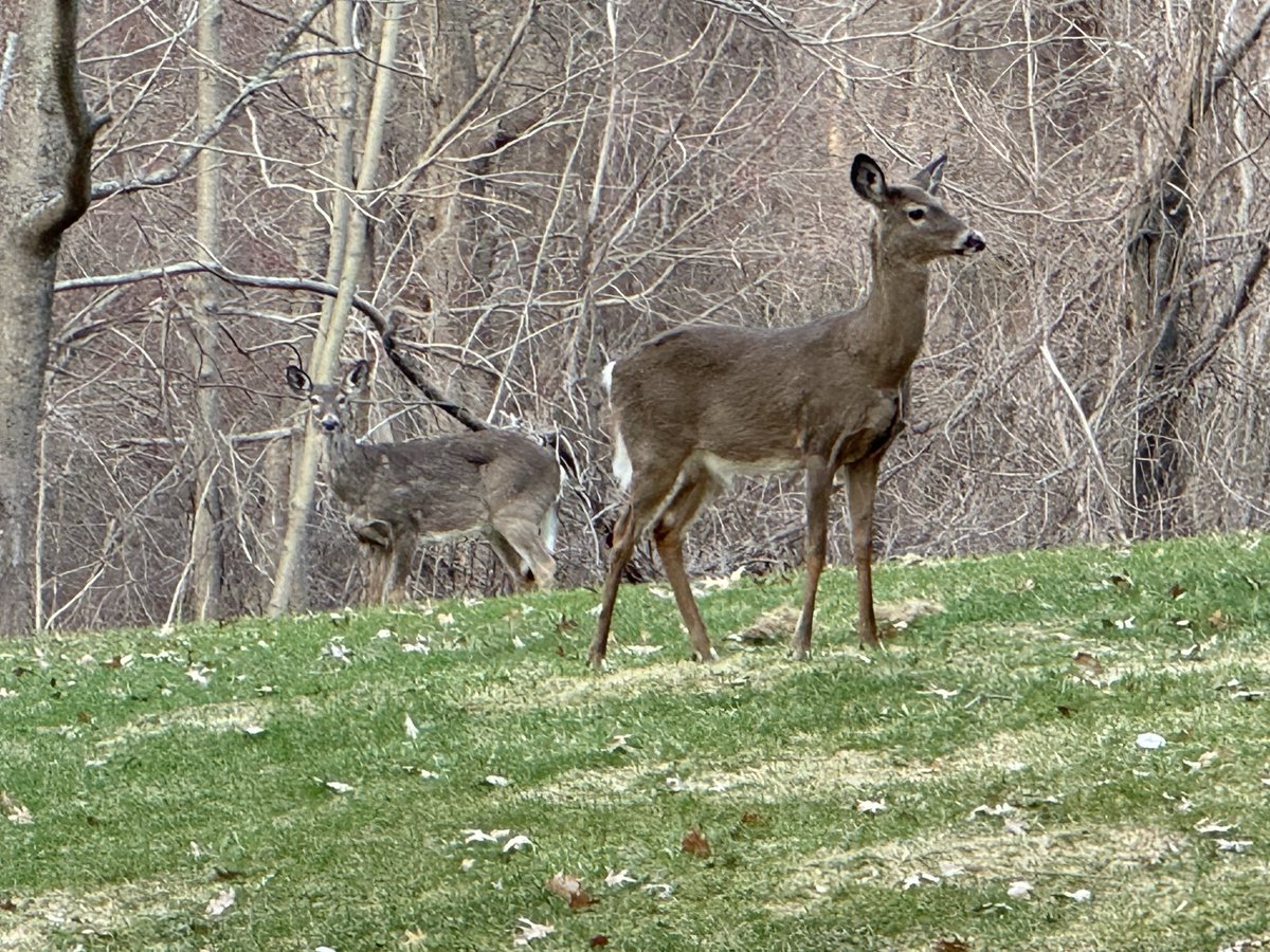 Marc McMullen tweet media