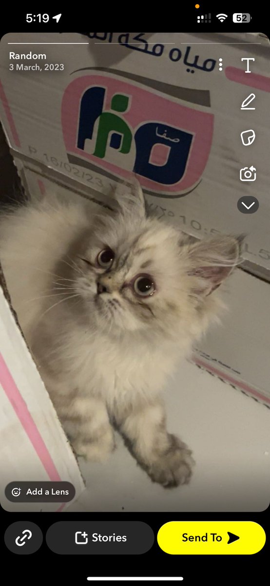 أسيل tweet media