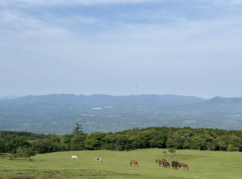 J-WAVE EARLY GLORY tweet media