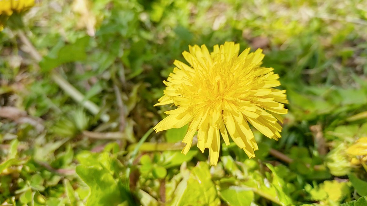 山内洋平 tweet media