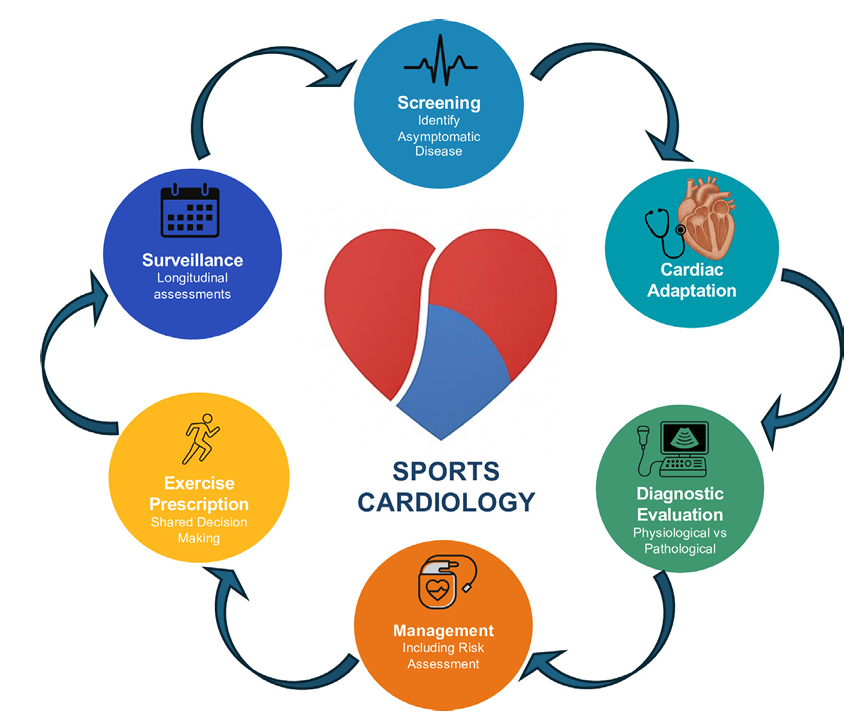 icorvilud's tweet photo. SPORTS CARDIOLOGY
🏃‍♂️More than HR monitoring!
🩺SYMPTOMS are important
🔍CG remains central
🫀“Athlete's Heart”
🧪No single test is enough
⚖️ Clinical Context
🧠 Shared decision-making
👵 MASTER ahletesfeatures
✅The art is in careful, structured &amp; individualized assessment 🩺➡️🫀 https://t.co/JIsB1U9bym