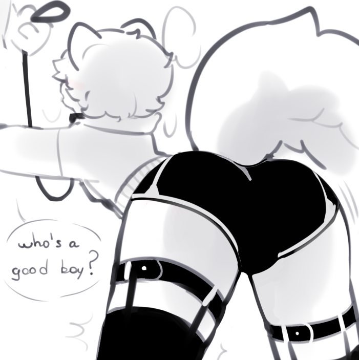 katsucoffee ☕ tweet media