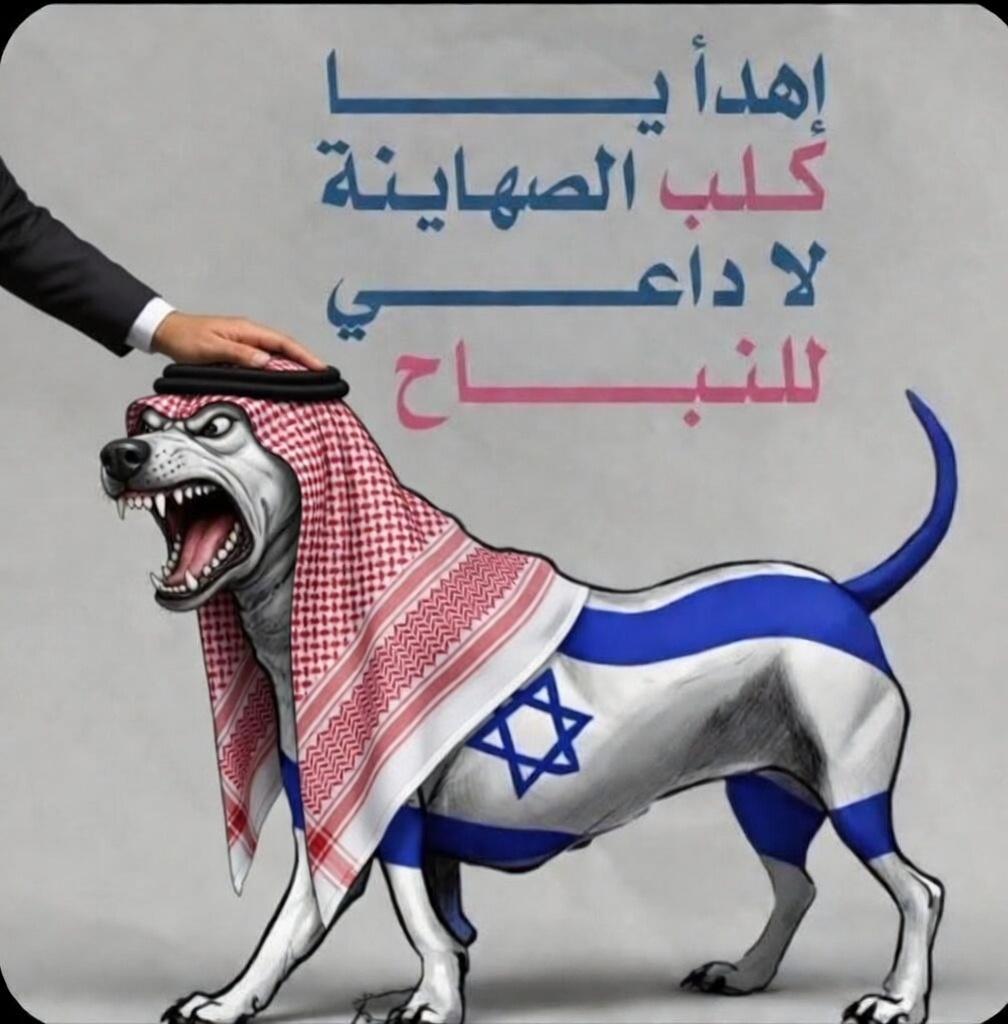 hader hassan tweet media