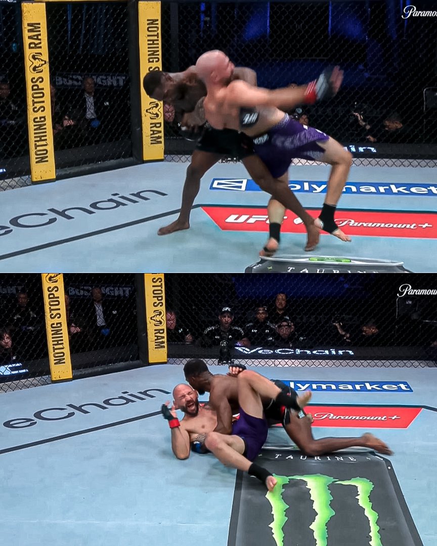 Home of Fight tweet media