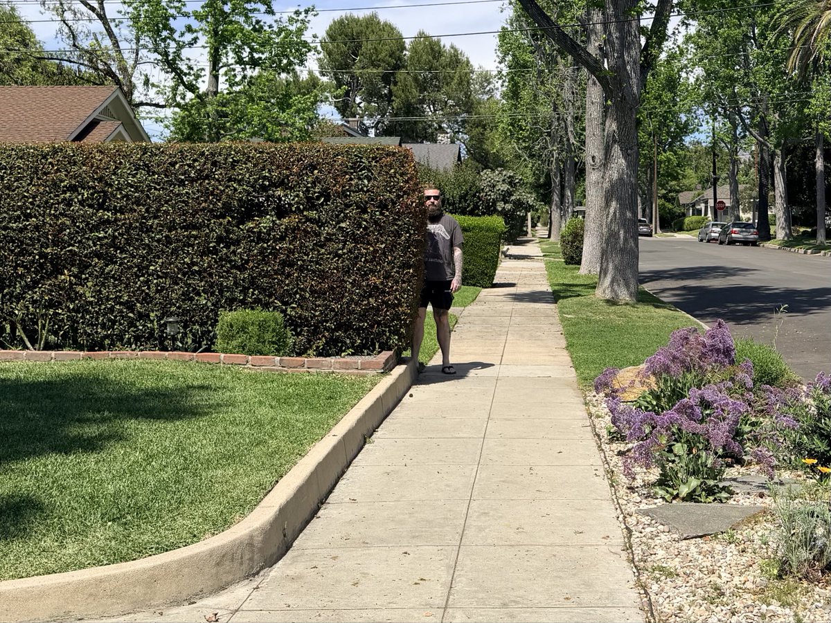 SpookyLoopz tweet media