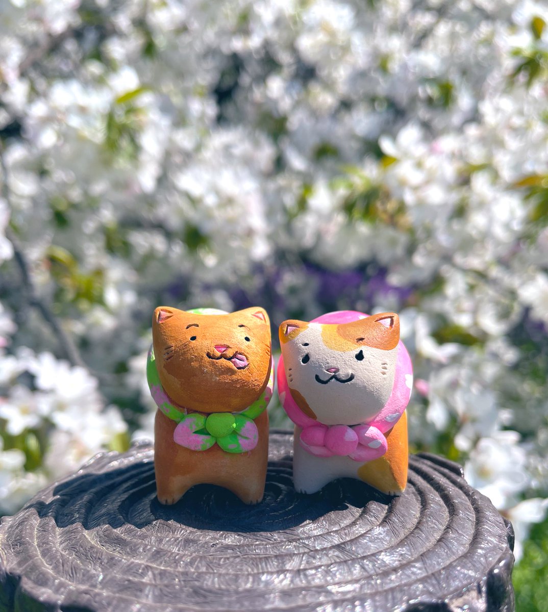 マナム屋@ニャンフェスA-10 tweet media