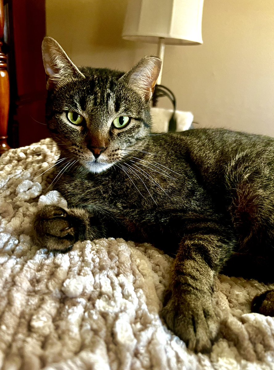 Lindsay Barrilleaux tweet media