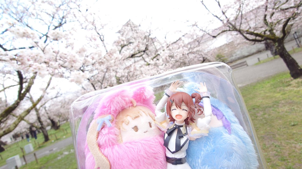 シリカゲル tweet media