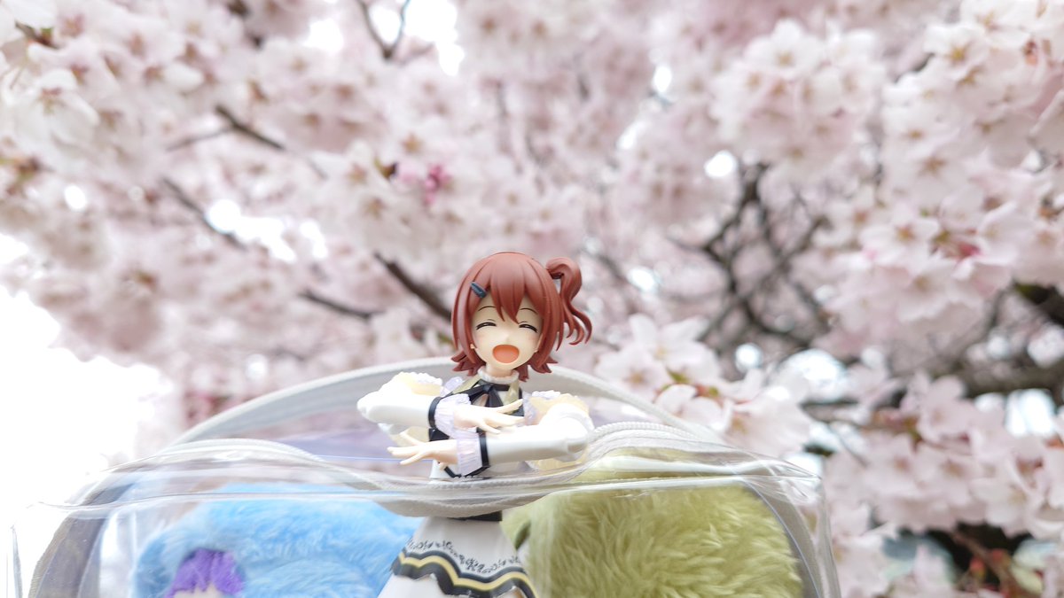 シリカゲル tweet media