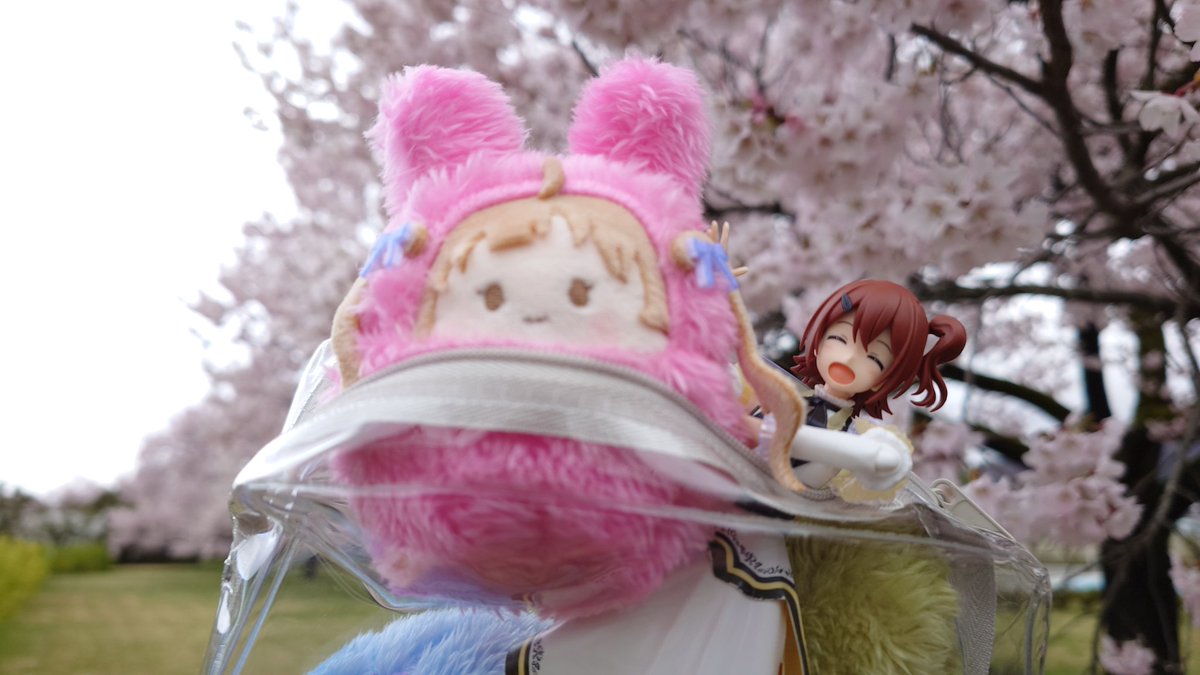 シリカゲル tweet media