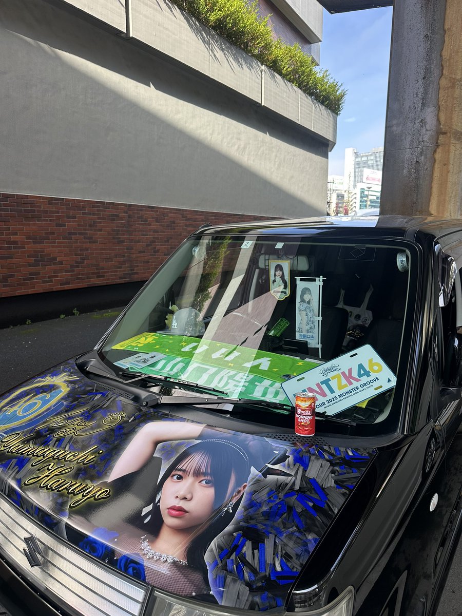 かじゅ（はるよちゃん命名）はるよんちの住人 tweet media