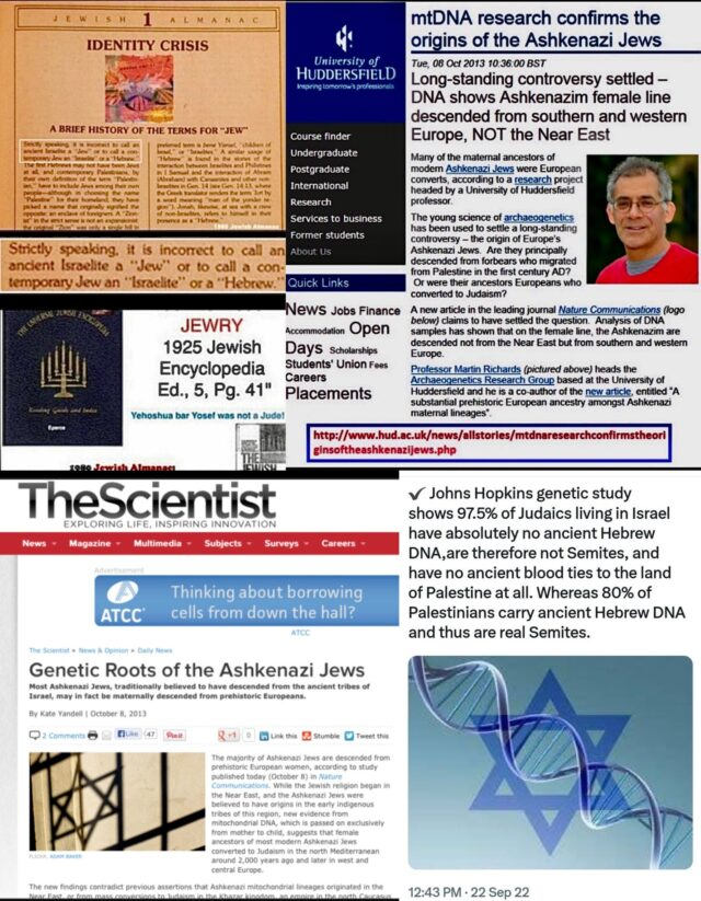 Dustin Nemos tweet media