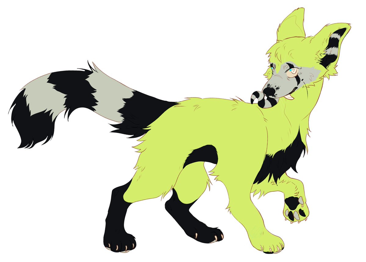 🐇🐰Tyler🇵🇹🐰🐇 tweet media