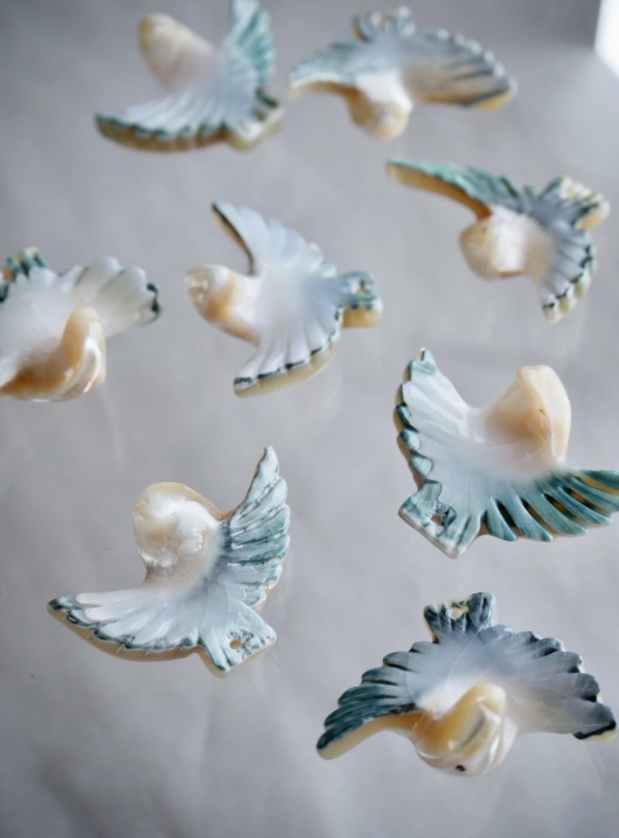 貝殻の問屋さん tweet media