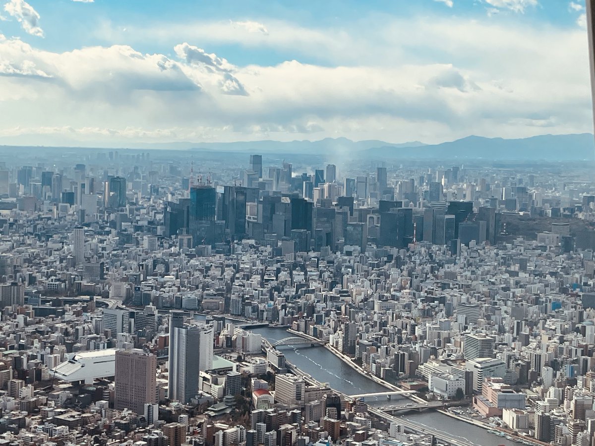 のびﾝこ tweet media