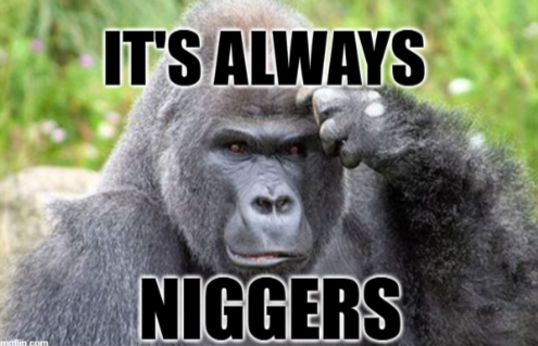 🦅🇺🇸 US Army Veteran 🇺🇸🦅 tweet media