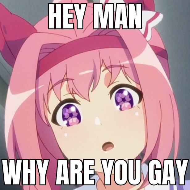 Björk🫧 tweet media