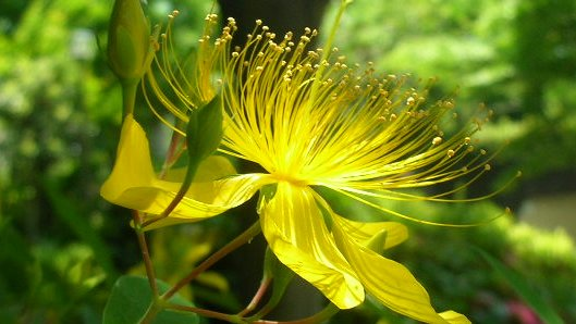 tanosiisupi_bot's tweet image. Being happy now matters more than praying for good luck.
The future is shaped from my consciousness in this very moment.

幸運を祈る事より、この瞬間幸せである事が重要。
未来は、我が意識を素材とし今この瞬間作られているから。
#consciousness #意識 #here_and_now #今ココ