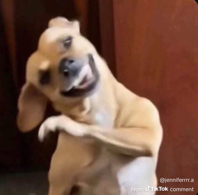 🍞|🏊🏾♂️ tweet media