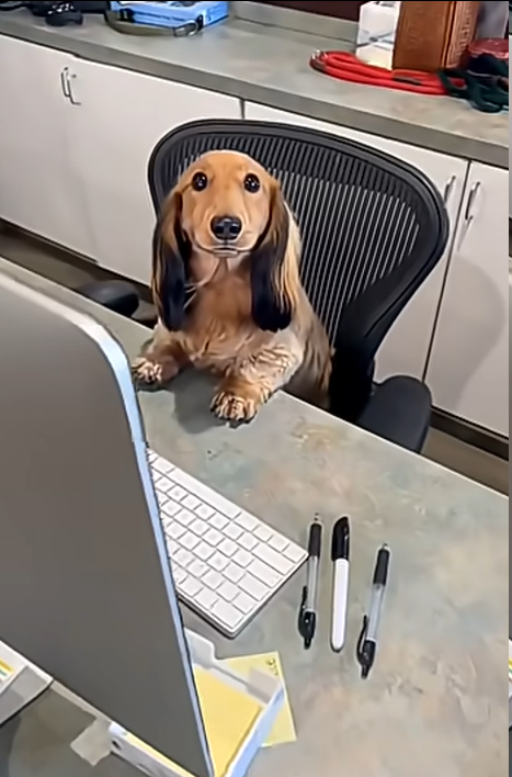 GrainsLover tweet media