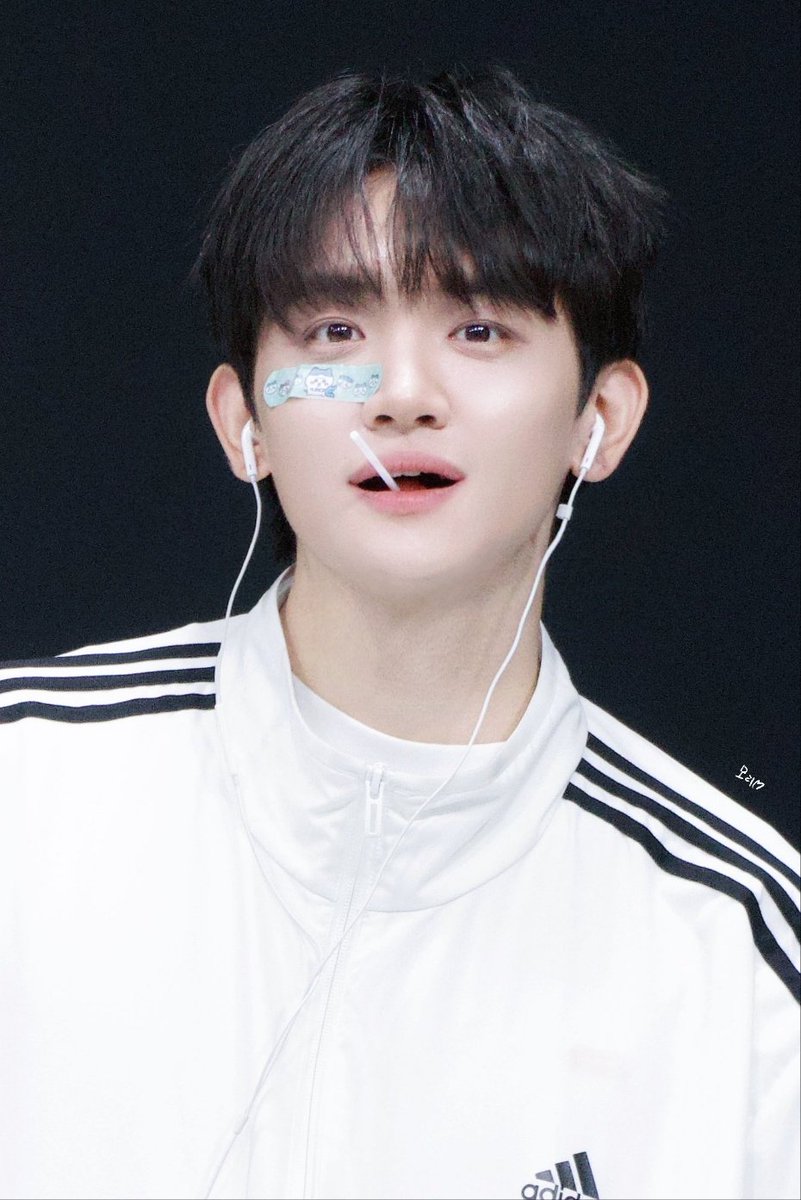 왈이왈 tweet media