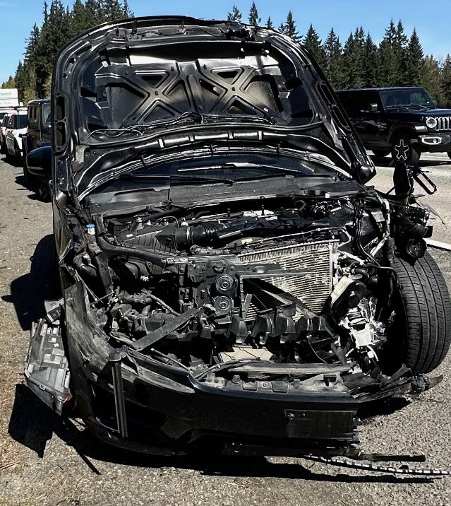 𝕍𝕚𝕠𝕝𝕒 𝕃𝕖𝕚𝕘𝕙 𝔹𝕝𝕦𝕖𝕤 tweet media