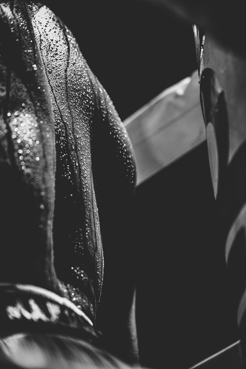 Slumphotography tweet media