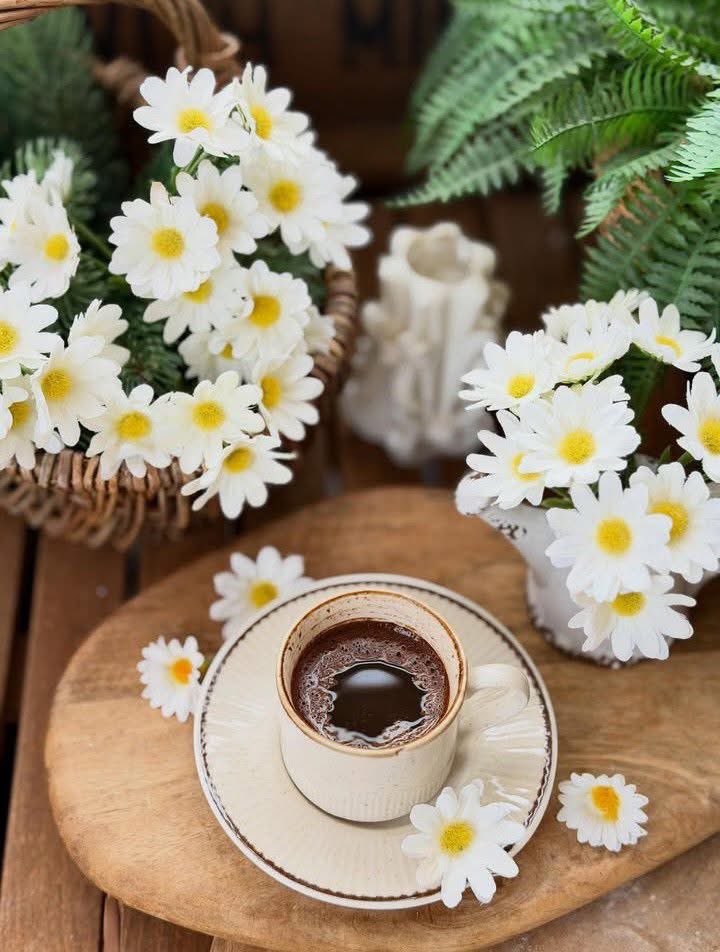 Otgonzul 🐣 tweet media