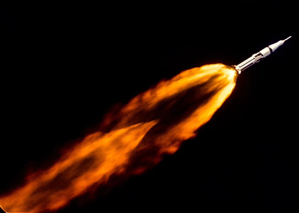 Criminal Penguin tweet media