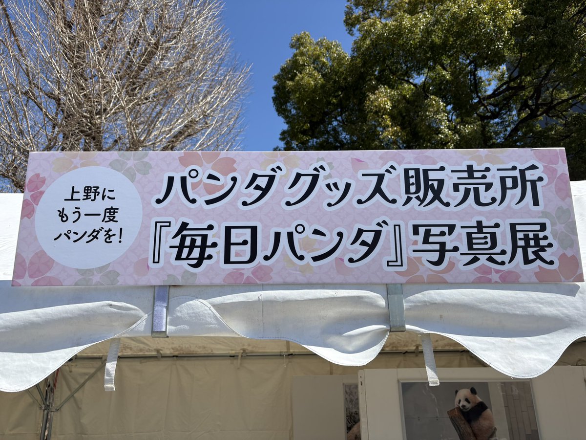 #うえの桜フェスタ にて、#毎日パンダ の高氏さんの写真展の隣のテントでパンダグッズ販売させて頂いていましたがとうとう本日4/5が最終となりました。

私は居ないので作品だけ置いて頂いてます。お近くの方、上野に用事のある方は是非、上野恩賜公園弁天門前イベント広場にもお越しくださいませ！