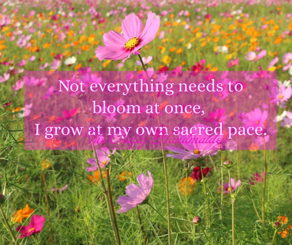 mena_callaghan's tweet image. ♥️What is today's quote?
Not everything needs to bloom at once, I grow at my own sacred pace, rooted deeply &amp;amp; unfolding exactly when the time is right. 🌱✨
Leave a little ♥️ &amp;amp; share
Thank you
#dailyquote #craftyhandmaidenquotes #aprilmonth