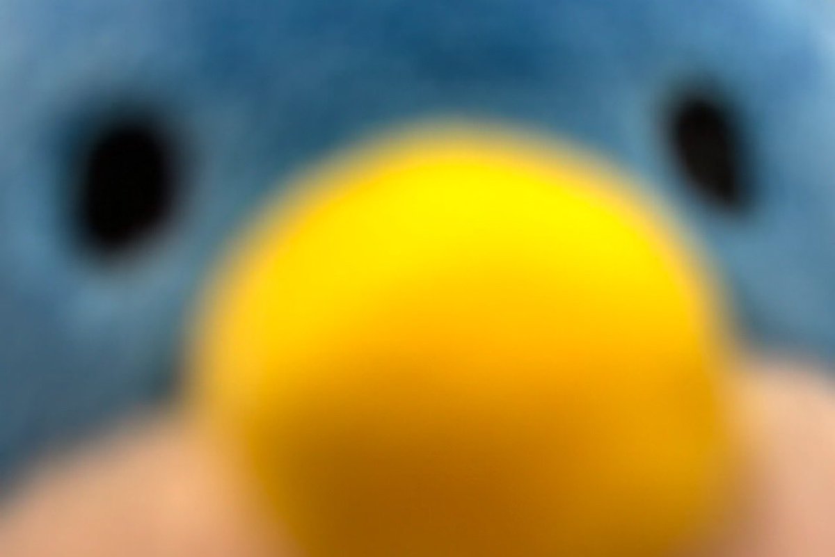 いちごちゃん！ tweet media