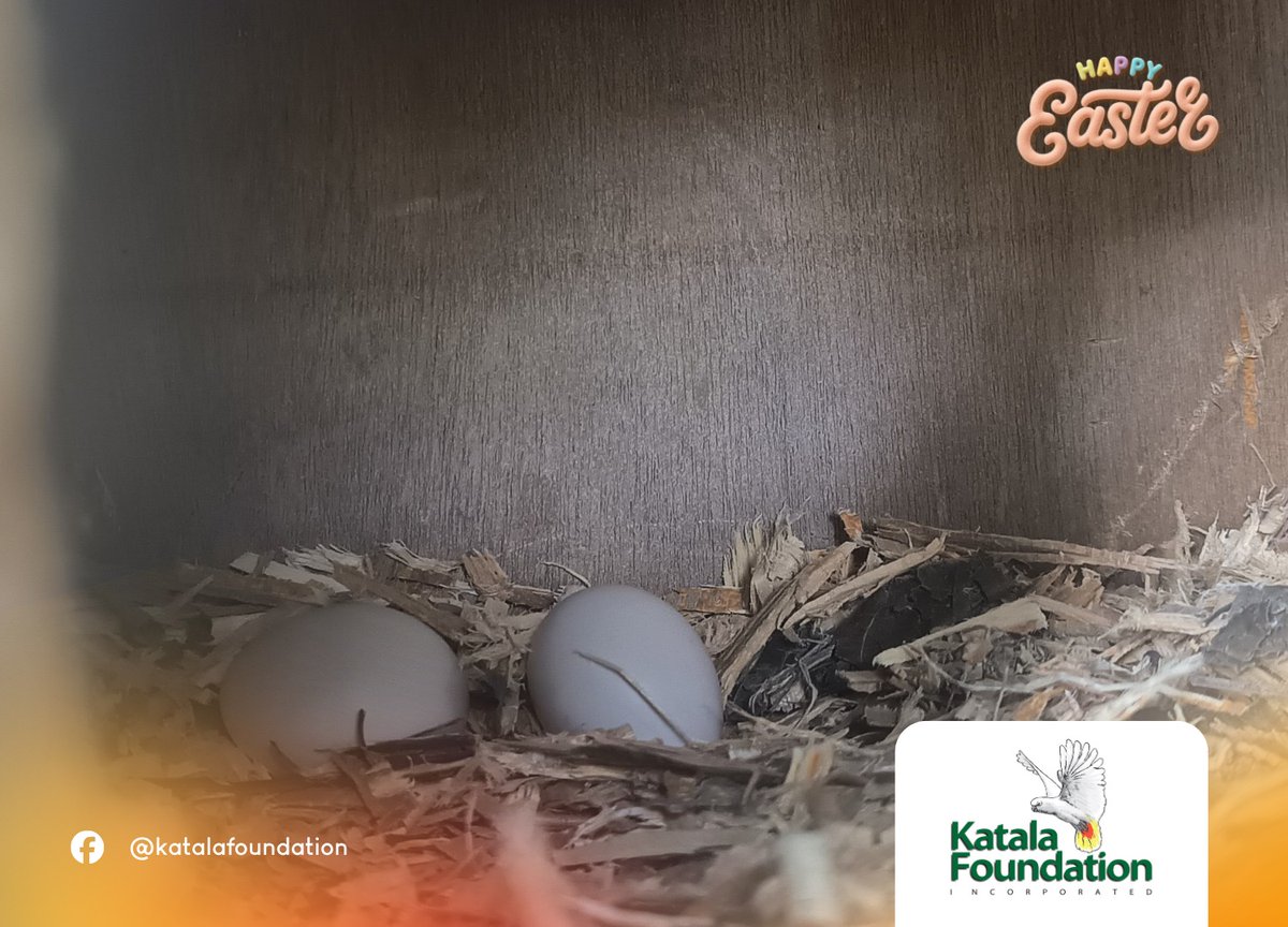 ABS-CBN News tweet media