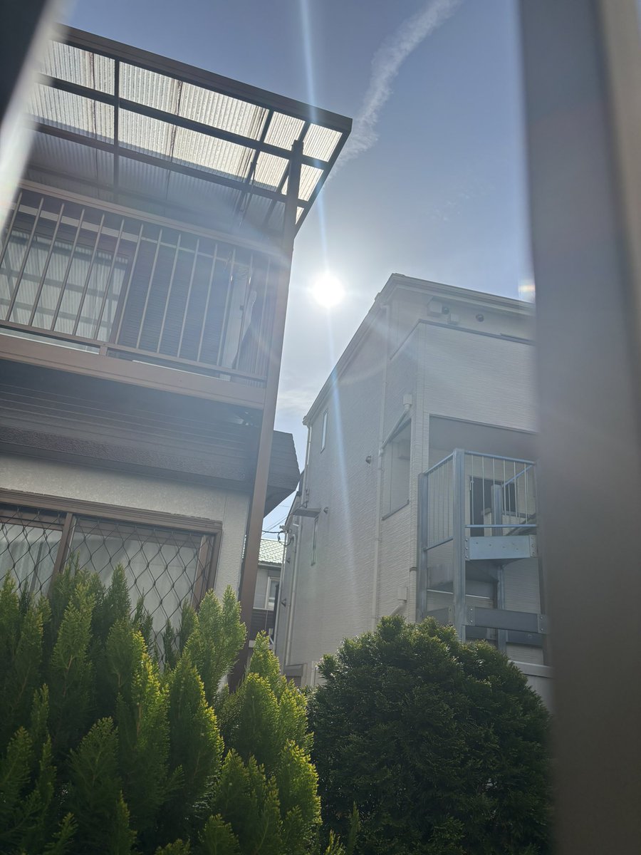 女帝ちゃす tweet media