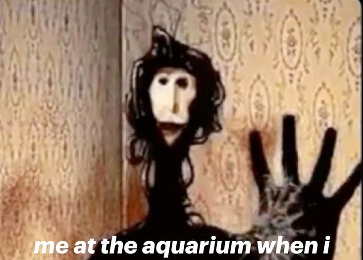 VainillaConArequipe tweet media