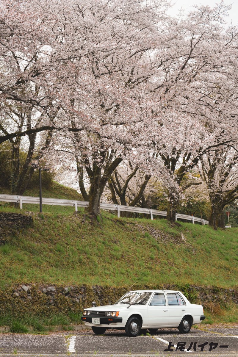 ㈱上尾ハイヤー【公式】 tweet media