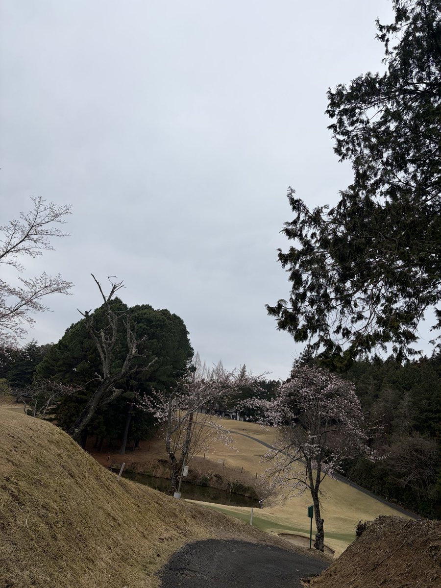 ツインズMM tweet media