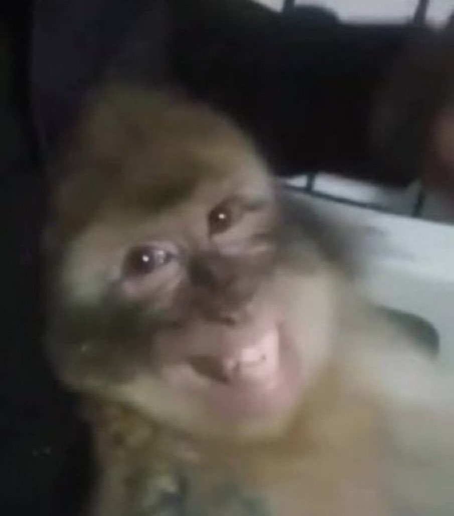 Depay ㊗️ tweet media