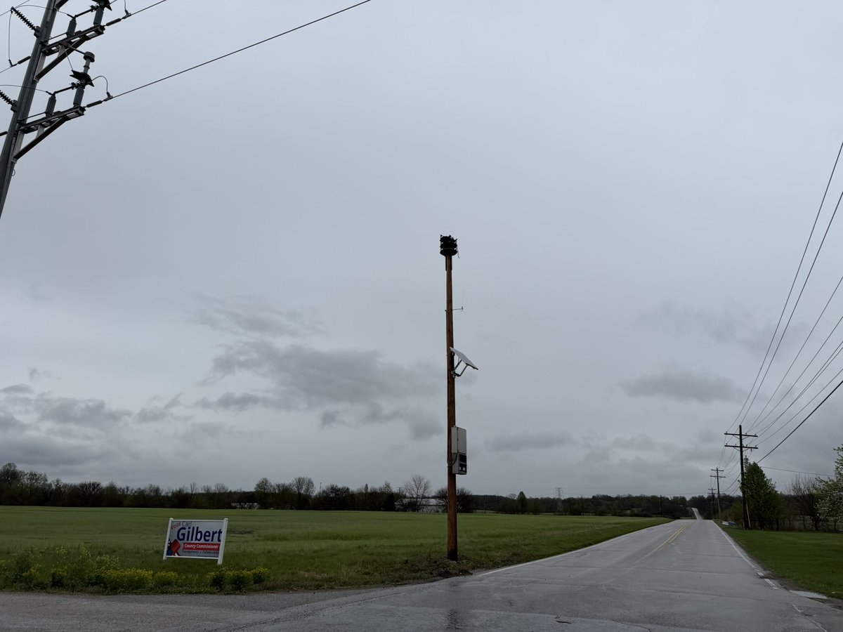 Carmen Palermo tweet media